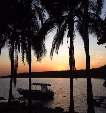 Lake view and palms near the lodge